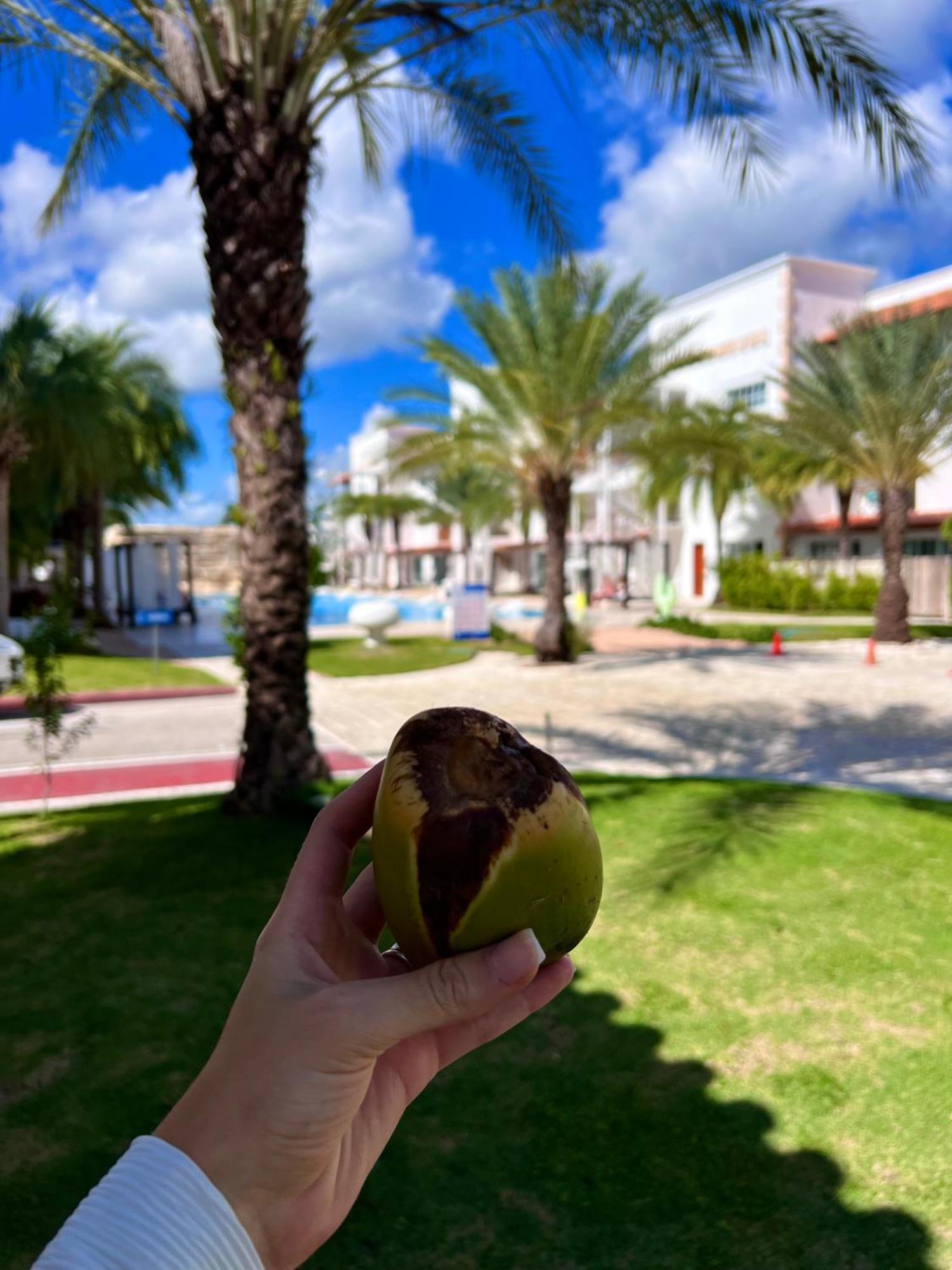 Tanama Hotel Punta Cana Ngoại thất bức ảnh